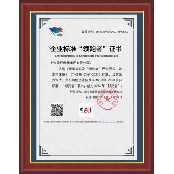 企業質量標準“領跑者”